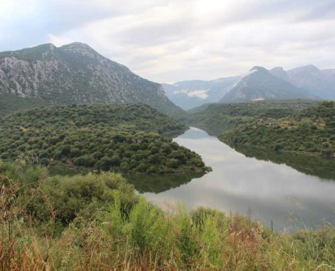 7 Ambiente Natura Sabrina Mereu