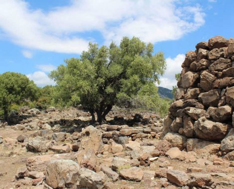 nuraghe mannu